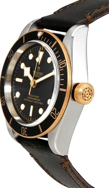 Tudor BLACK BAY S&G M79733N-0007 Replica Watch